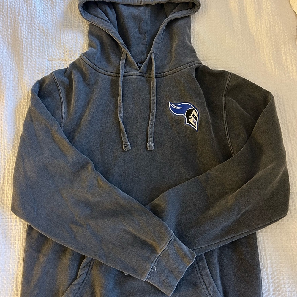 Blue hoodie with drawstrings and a logo